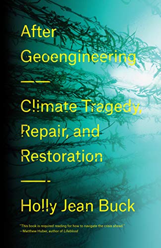 Book cover: “After Geoengineering” with blurred branches and bright light.