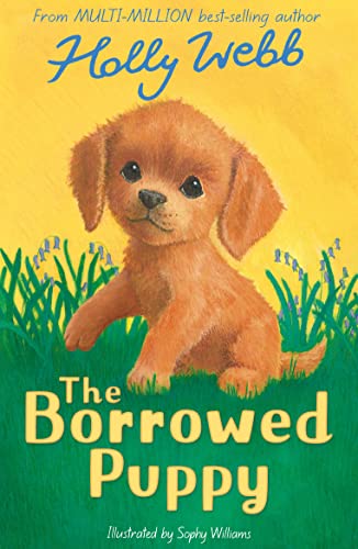 A brown puppy sits in green grass with blue flowers against a yellow background.