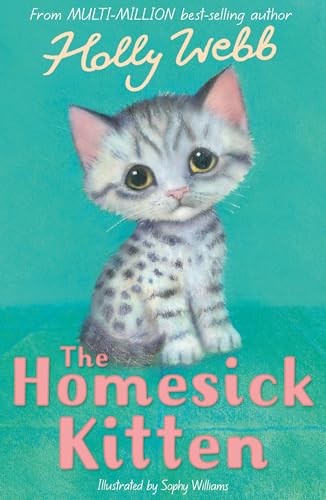 A grey tabby kitten sits on a teal background on a book cover.