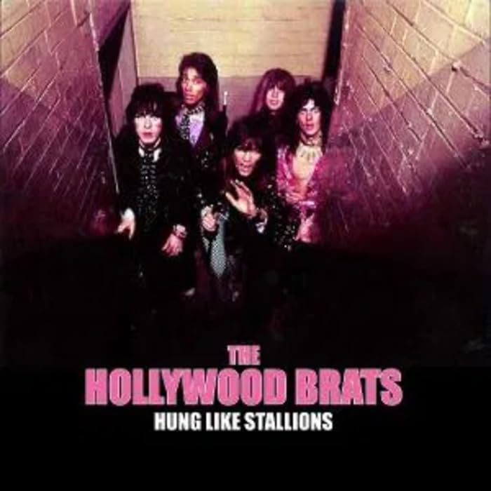 Various - Hung Like Stallions [VINYL]