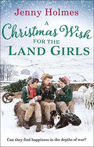 Book cover: three women with a dog in a snowy landscape.