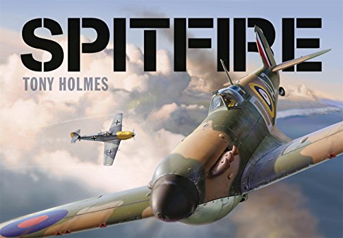 Book cover featuring a green and grey Spitfire aircraft in flight.