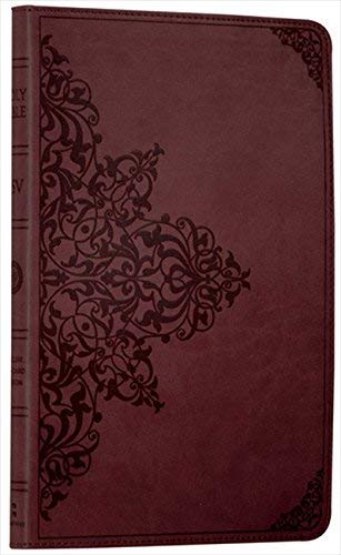 Dark red leather-bound Bible with ornate floral design on cover.