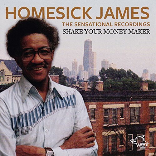 CD cover featuring Homesick James with a city skyline background.