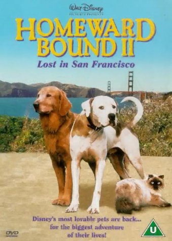 DVD cover for Homeward Bound II featuring two dogs and a cat in San Francisco.