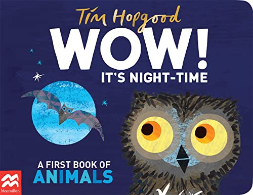 Book cover featuring a bat flying in front of a moon and an owl.