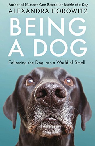 Book cover showing a close-up of a dog's face against a blue background.