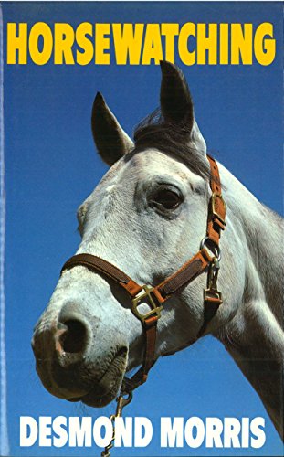 Book cover featuring a close-up of a white horse with a bridle.