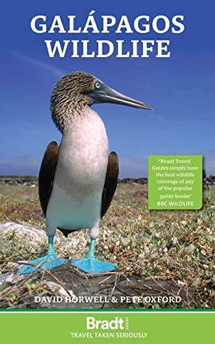 Blue-footed booby standing on rocky ground on the cover of the Galapagos Wildlife guidebook.
