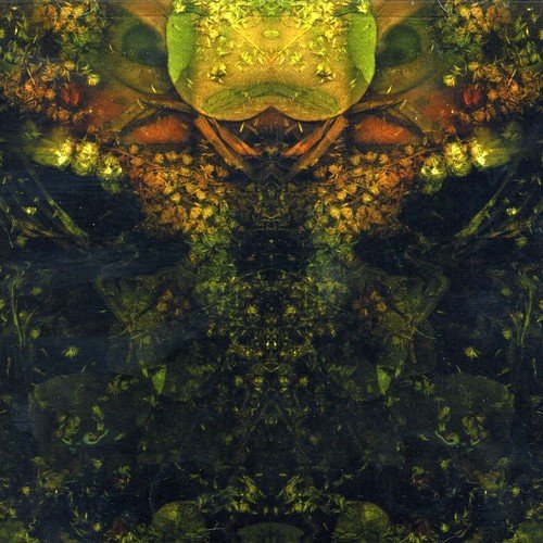 The image is a surreal, symmetrical illustration of a green face surrounded by foliage.