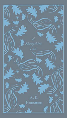 Book cover with light blue oak leaves and wavy lines on a grey background.