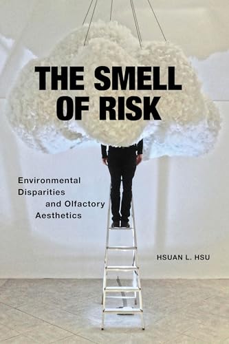 Book cover: person on ladder under a large, white, cloud-like sculpture.