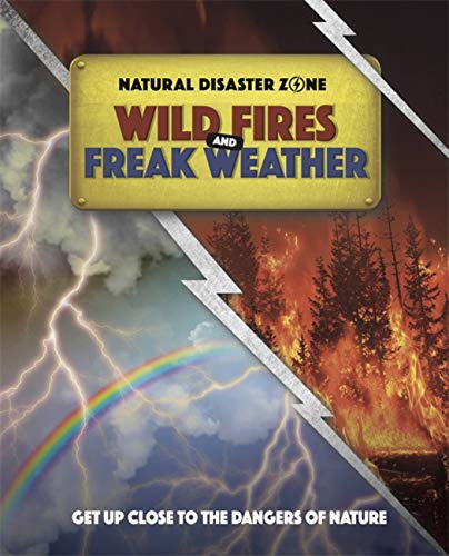 Book cover depicting wildfires, lightning, and a rainbow split diagonally.
