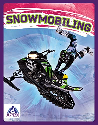 Snowmobiler performing a trick in mid-air over a snowy landscape.