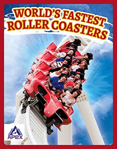 Book cover depicting a red roller coaster car descending a steep drop.