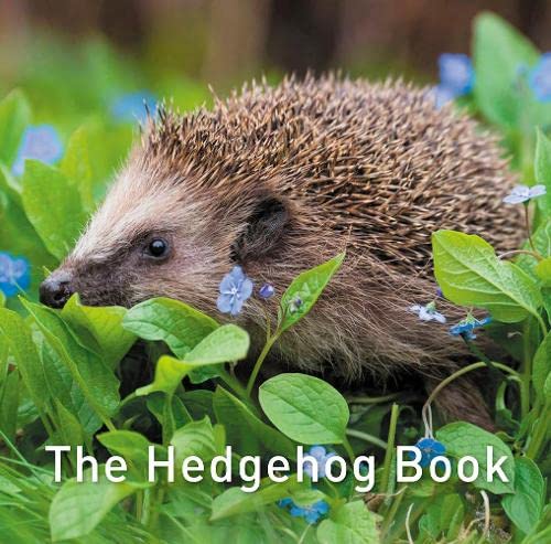 A hedgehog walking through green foliage and small blue flowers with text overlay.