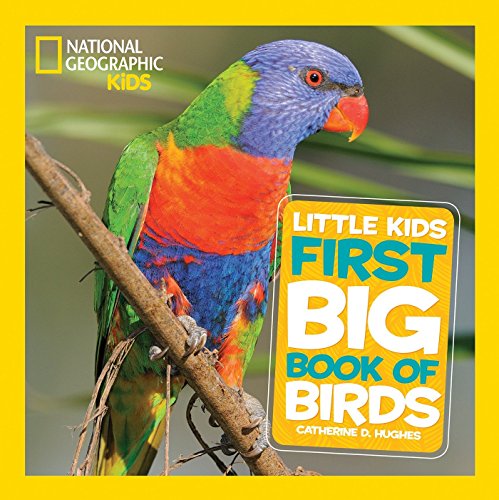 Book cover featuring a colorful rainbow lorikeet perched on a branch.