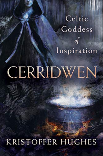 BookL hooded figure standing behind a steaming cauldron over a fire in a forest.