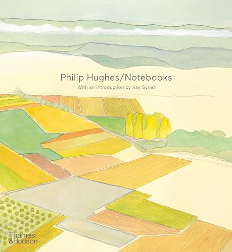Book cover with colorful, abstract landscape painting and title "Notebooks".