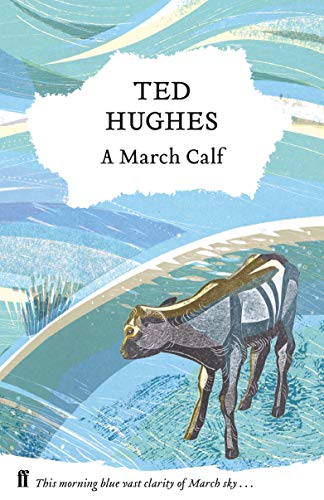 Book cover: "A March Calf" by Ted Hughes, featuring a calf illustration.