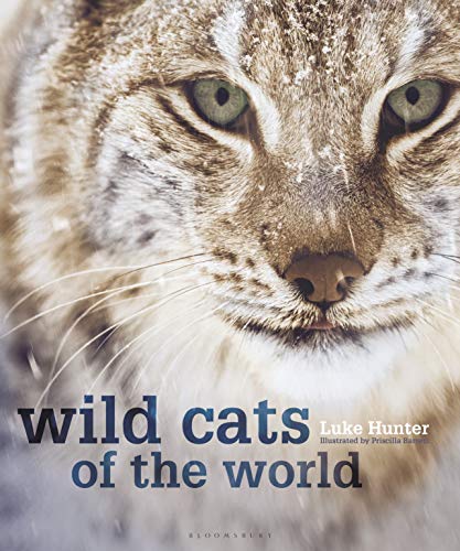 Close-up of a bobcat’s face with book title “Wild Cats of the World.”