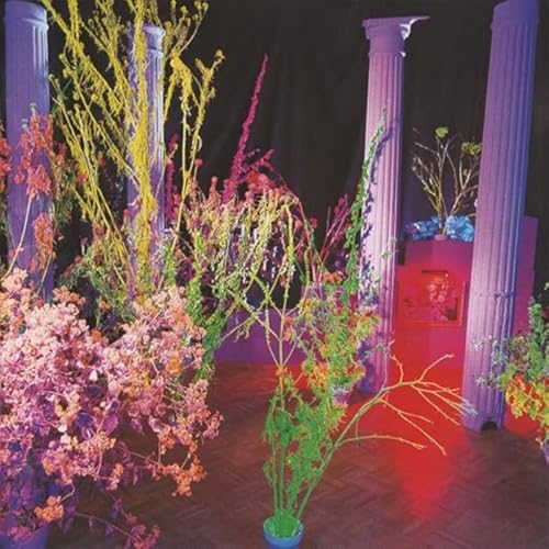 Purple pillars stand among colorful, vibrant flowers and foliage against a dark background.