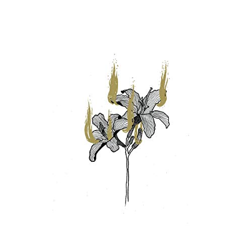 Black and gold illustration of lilies with dripping, flame-like accents.
