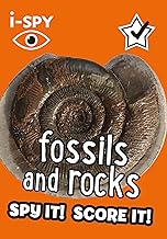 Book cover featuring a fossilized ammonite and the text "fossils and rocks".