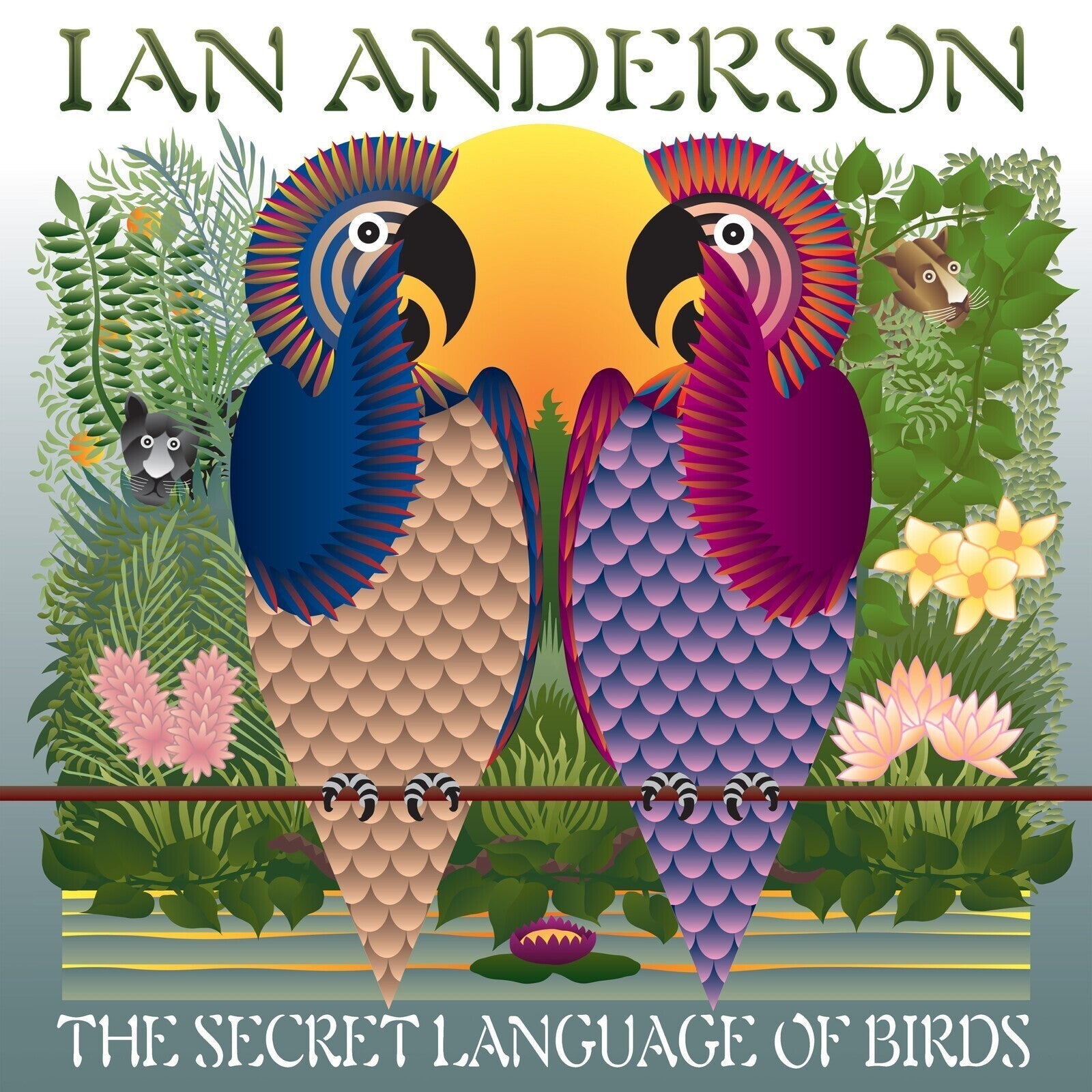 Album cover for Ian Anderson’s “The Secret Language Of Birds” featuring parrots.