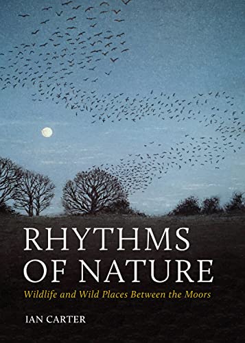 Book cover with a flock of birds flying over moorland at dusk.