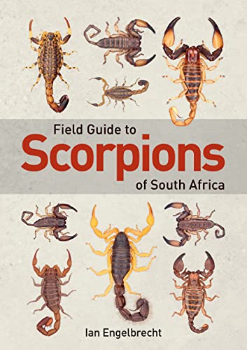 Book cover featuring multiple scorpion species from South Africa.