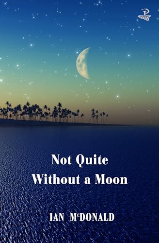 Book cover: crescent moon over palm trees and ocean, title “Not Quite Without a Moon”.