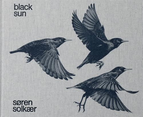 Three black birds in flight against a textured gray background.