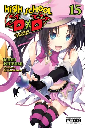 Light novel cover: anime girl with staff, volume 15 of High School DxD.