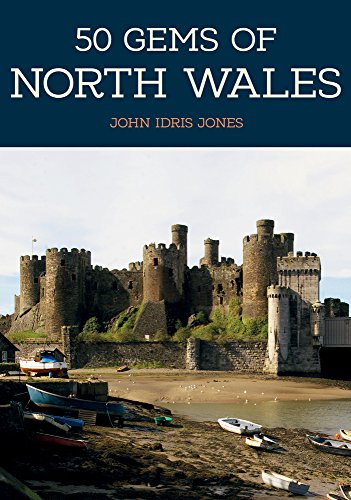 Book cover featuring a historic Welsh castle and boats on the shore.