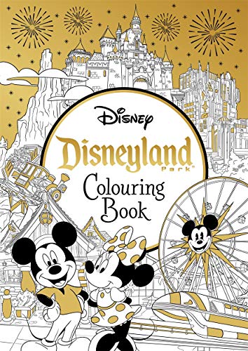 Disneyland colouring book cover with castle, Mickey, Minnie, and fireworks illustration.