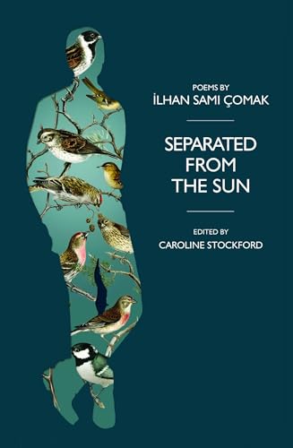 Book cover: silhouette filled with birds, title “Separated from the Sun”.