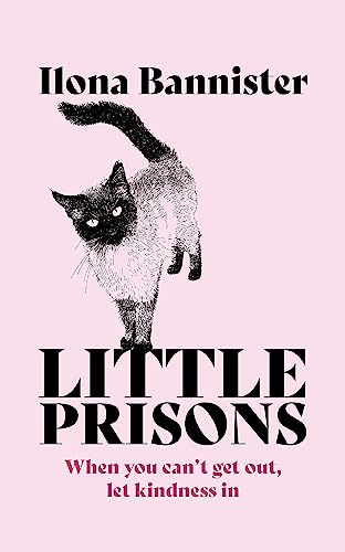 Book cover: black and white cat illustration with pink text, "Little Prisons".