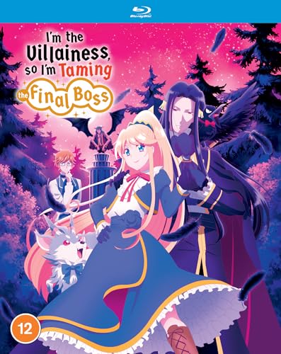 Blu-ray cover featuring anime characters, a blonde woman and a dark-haired man.