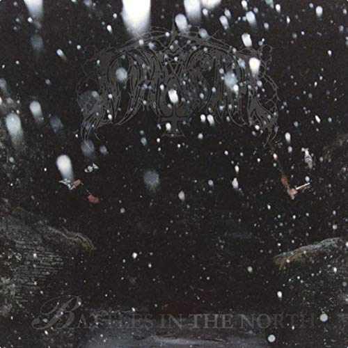 "Album cover with dark, snowy scene and stylized 'Immortal' logo and 'Battles in the North' text."