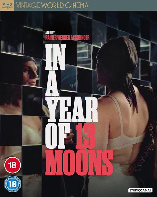 Blu-ray cover for In a Year of 13 Moons featuring a person before mirrors.