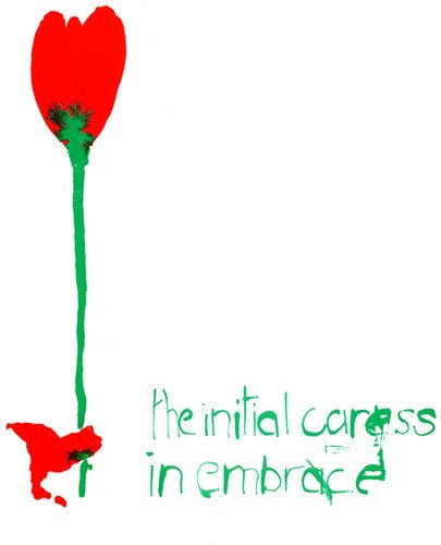 Red tulip and cat illustration on a white background, CD cover art.