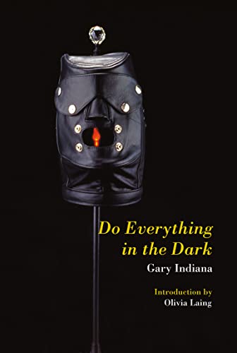 Book cover featuring a black leather mask on a stand against black.
