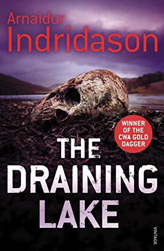 Book cover: a skull partially submerged in dark water, stormy sky.