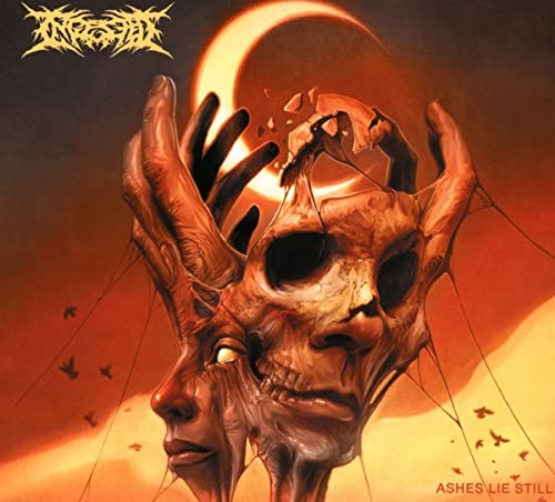 Album cover: distorted skull and face with a fiery, eclipsed sun.