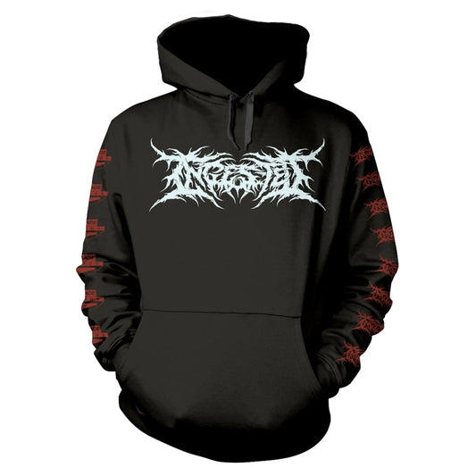 Black hooded sweatshirt with red and white band logo and artwork.