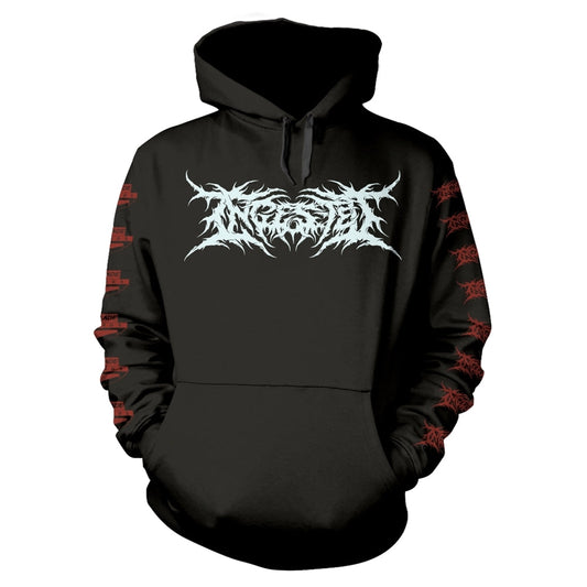 Black hooded sweatshirt with red and white band logo and artwork.