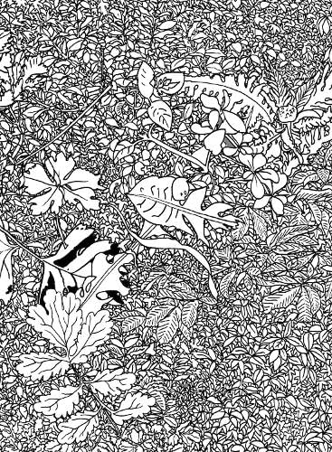 Intricate black and white illustration of layered leaves and a hidden fish.