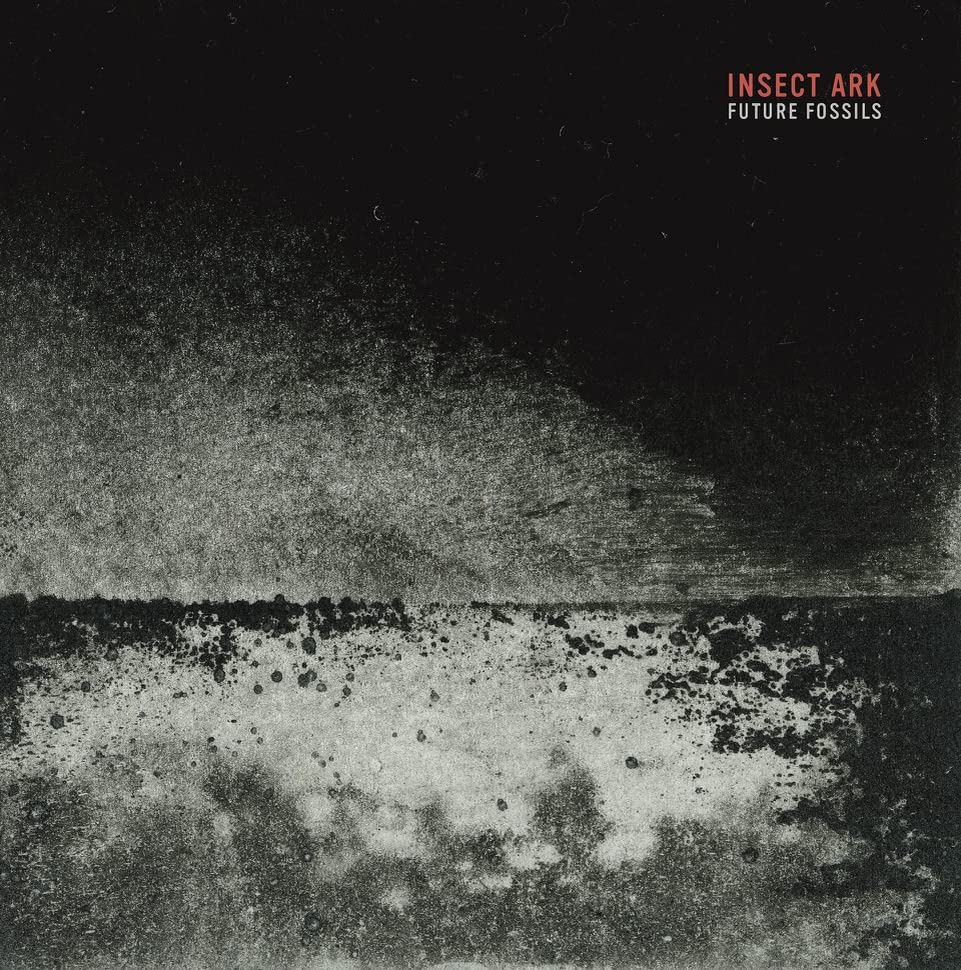 CD cover for Insect Ark’s “Future Fossils,” with a textured, dark gray design.