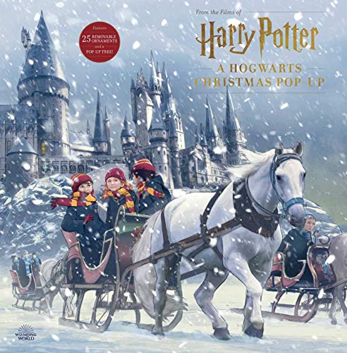 Hogwarts castle scene with children in a horse-drawn sleigh in snow.